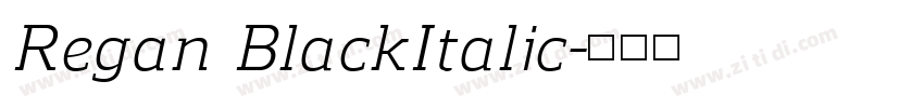 Regan BlackItalic字体转换